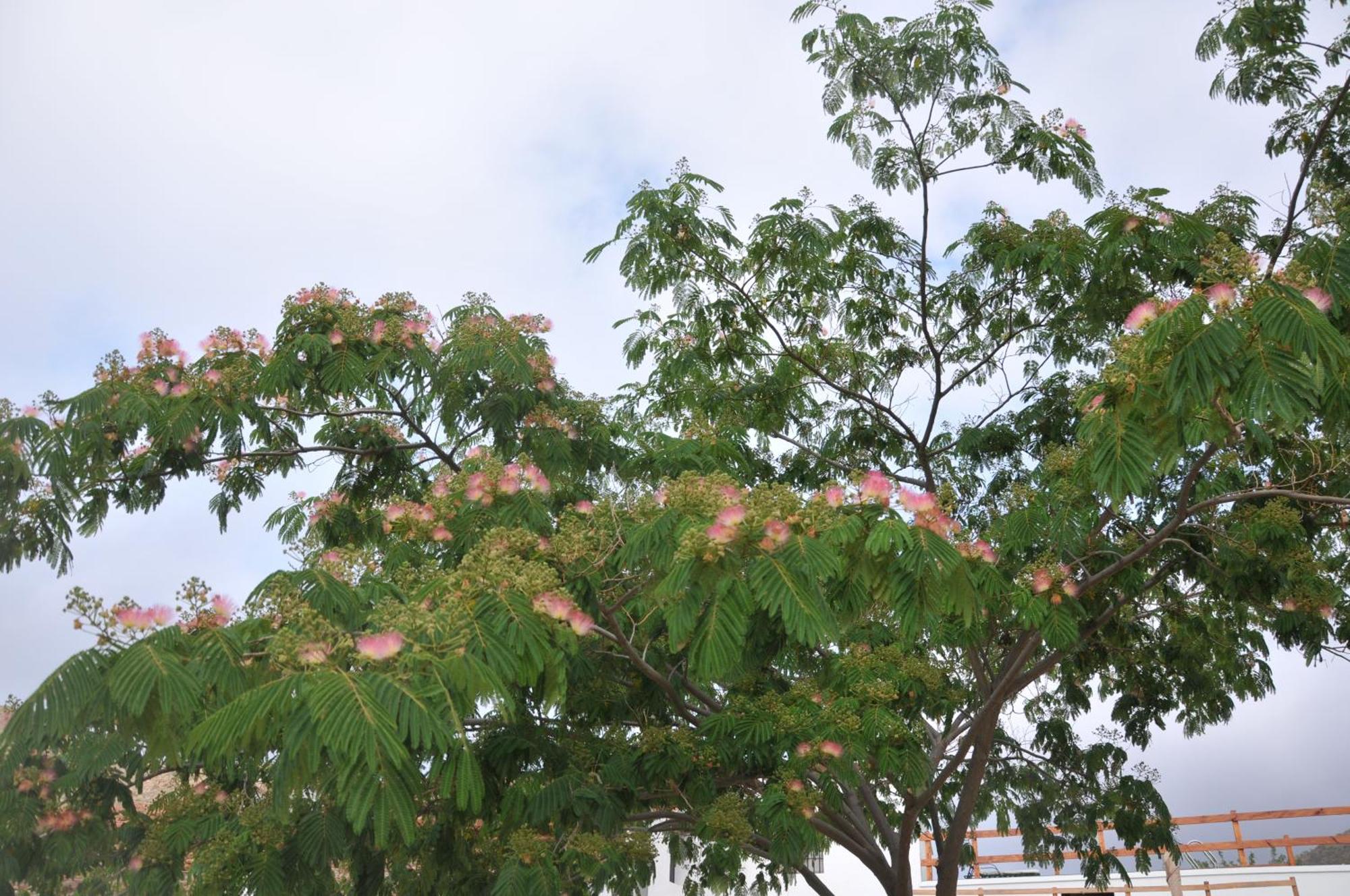 Luby Cortijo Las Eras Lubrin Ngoại thất bức ảnh